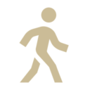 walking-icon